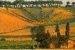 Cliquer sur la photo pour l'agrandir