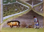 Cliquer sur la photo pour l'agrandir. Extrait des Trs Riches heures du Duc de Berry